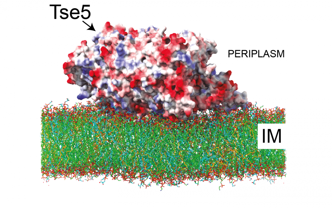 #paperhighlights Nov2023 #2
