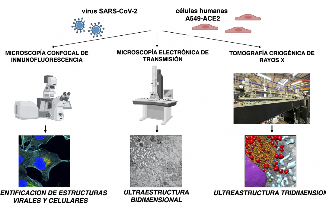 #paperhighlights Nov2023 #3
