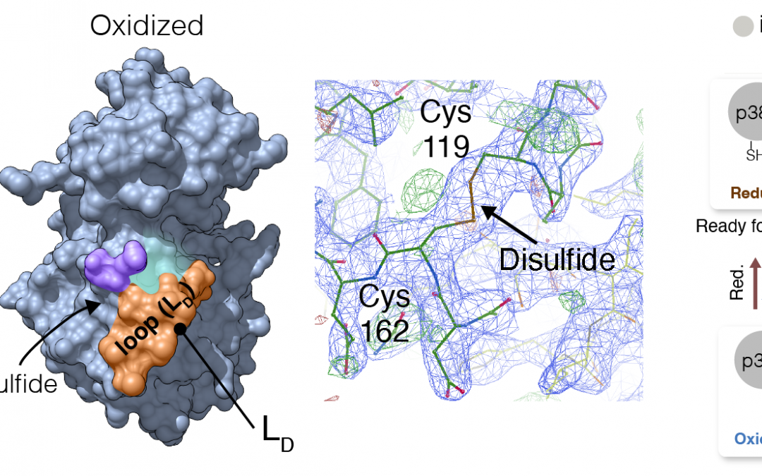 #paperhighlights Dec2023 #2