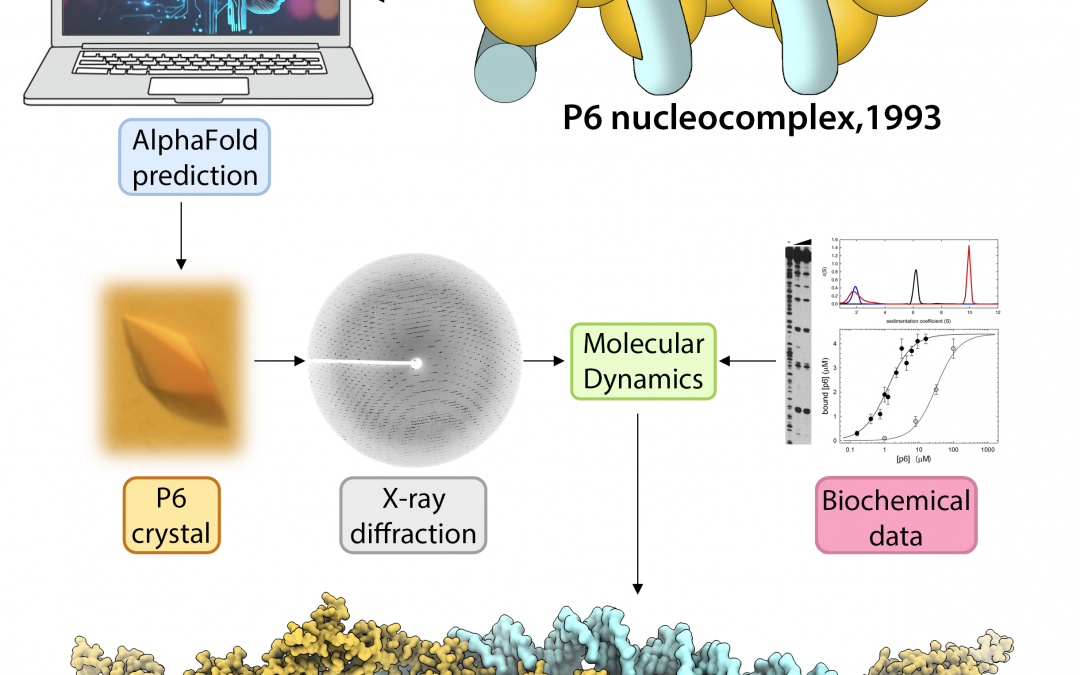#paperhighlight Jan2024 #1