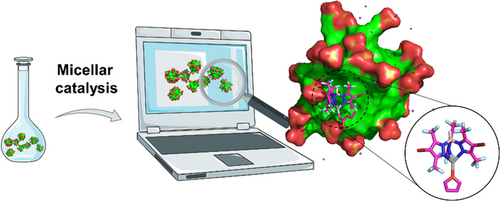 Architecture of DNAJA2 oligomers. Representative field of a CryoEM image of DNAJA2wt, a cochaperone of Hsp70, with a scale bar corresponding to 100 nm (left panel). The right panel displays side and top views of the atomic model of DNAJA2 fitted into the 3D reconstruction of the protein oligomer. The protein dimers align to form longitudinal filaments that interact laterally, resulting in the helical configuration. Each filament is depicted in distinct color.