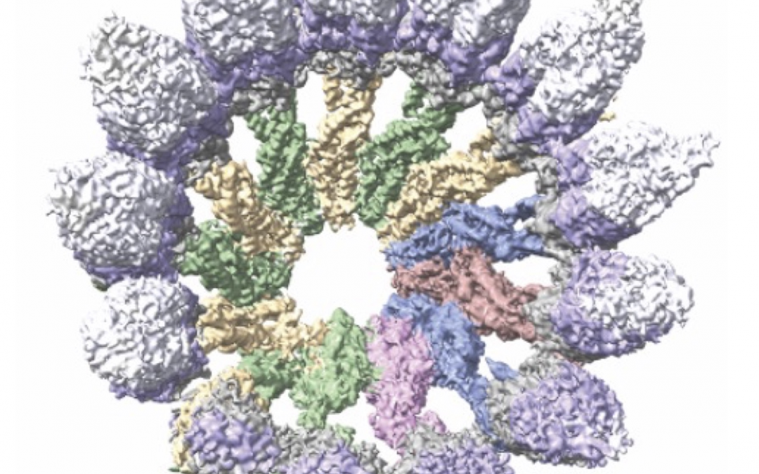 #paperhighlights Feb2024 #2