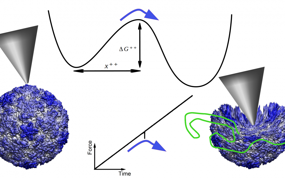 #paperhighlights Feb2024 #3