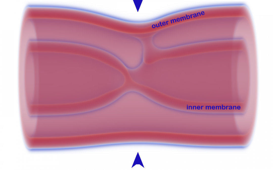 #paperhighlights Mar2024 #1