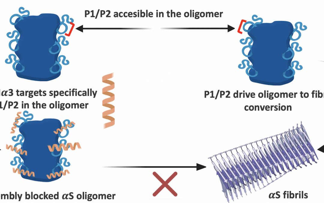 #paperhighlights April2024 #1