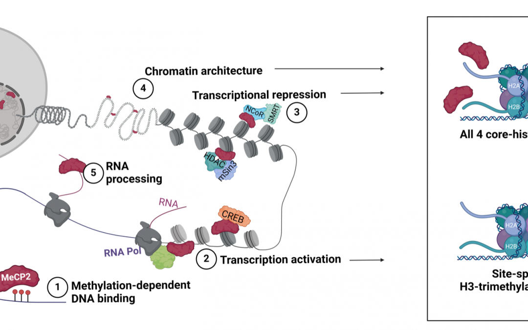 #paperhighlights April2024 #3