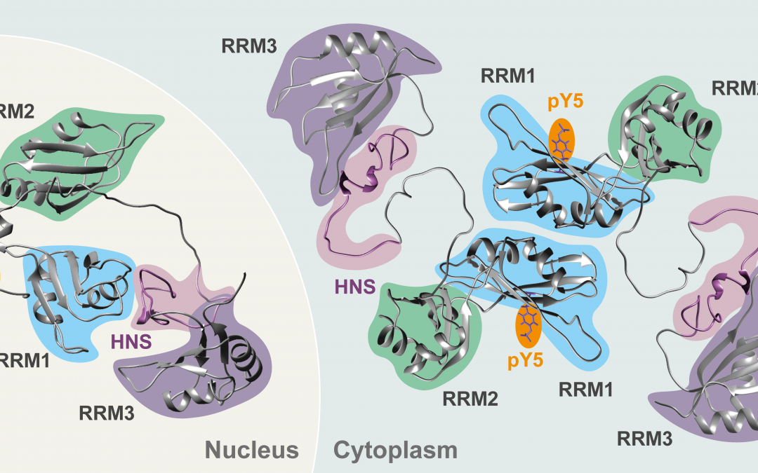 #paperhighlights_August2024_#2