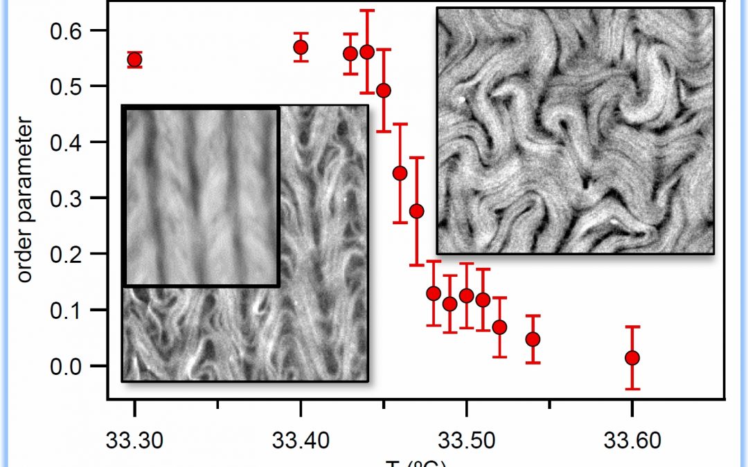#paperhighlights May2024 #1