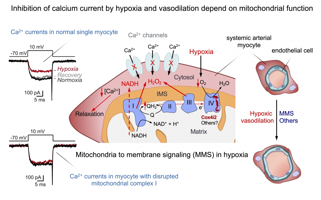 #paperhighlights August2024 #3