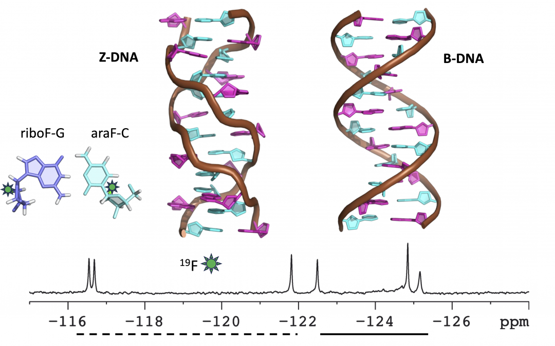 #paperhighlights July2024 #1