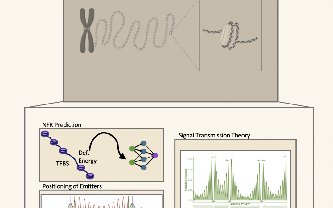#paperhighlights Sept2024 #1