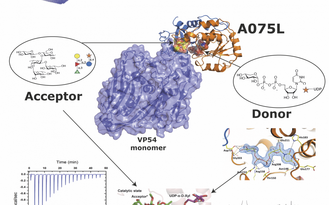 #paperhighlights Dec2024 #2