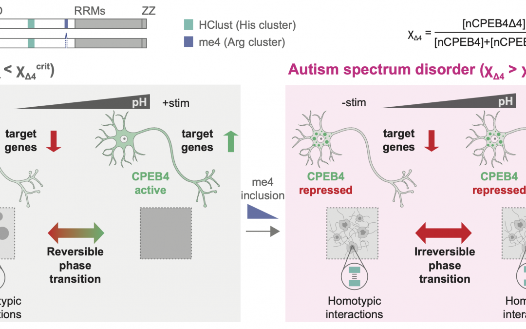 #paperhighlights Dec2024 #1