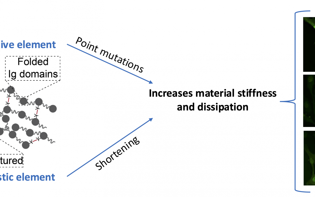 #paperhighlights Nov2024 #1