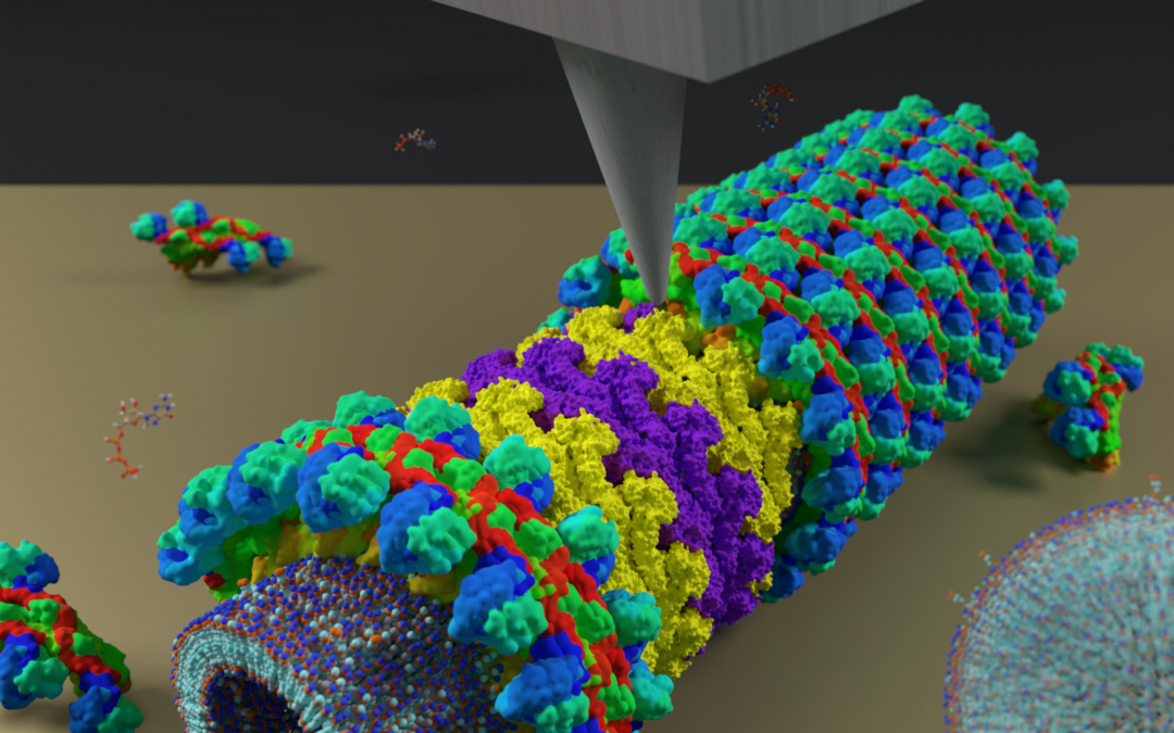 #paperhighlights Nov2024 #2