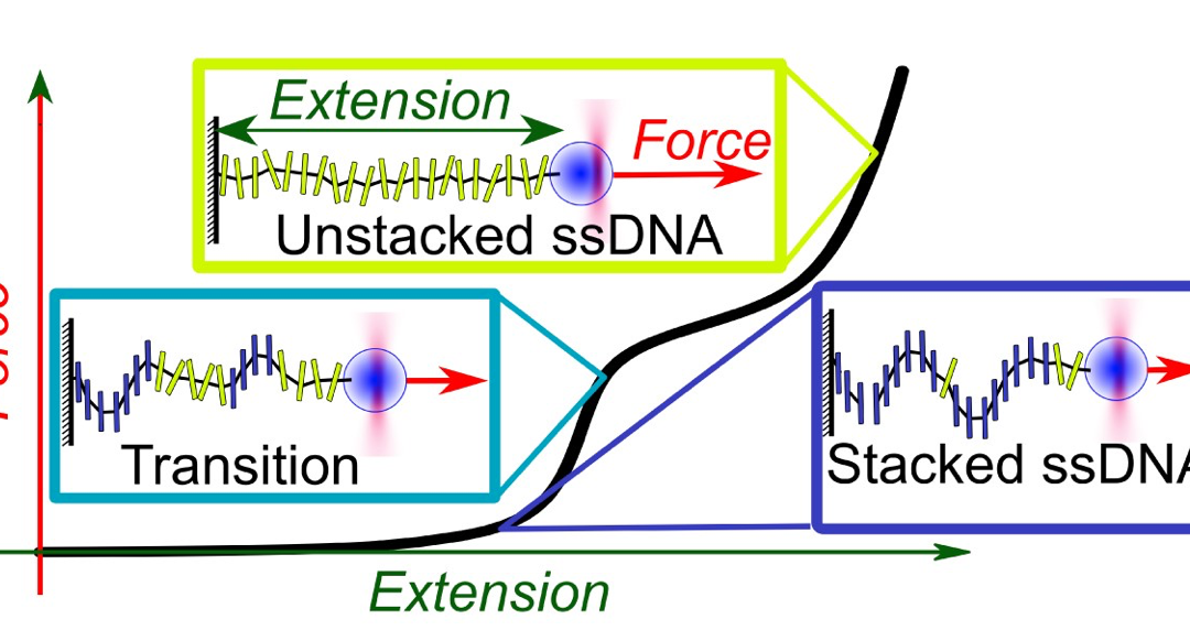 #paperhighlights Nov2024 #3