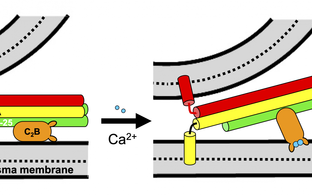 # Highlights Jan 2025 Paper 1