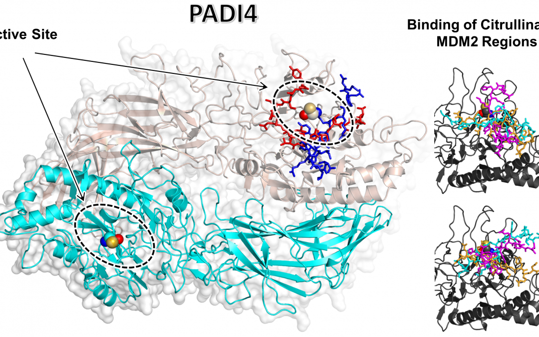 # Highlights Paper 3  Feb 2025