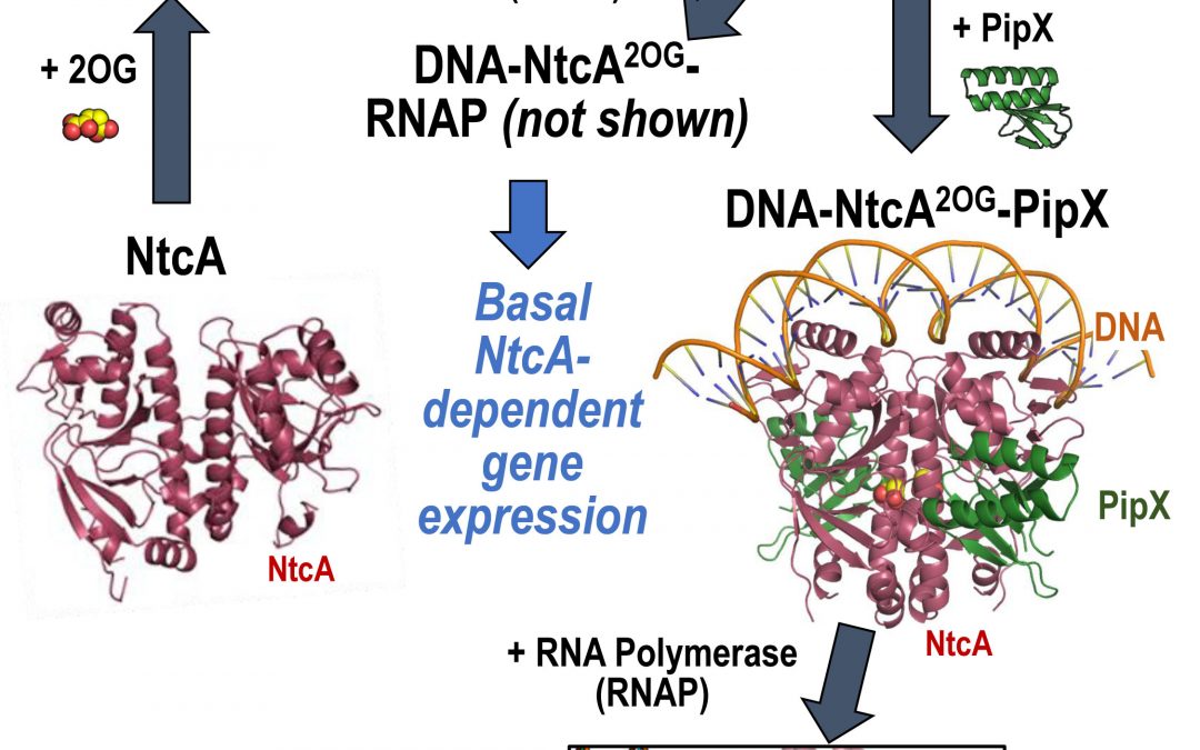 # Highlights Paper 1 Feb 2025