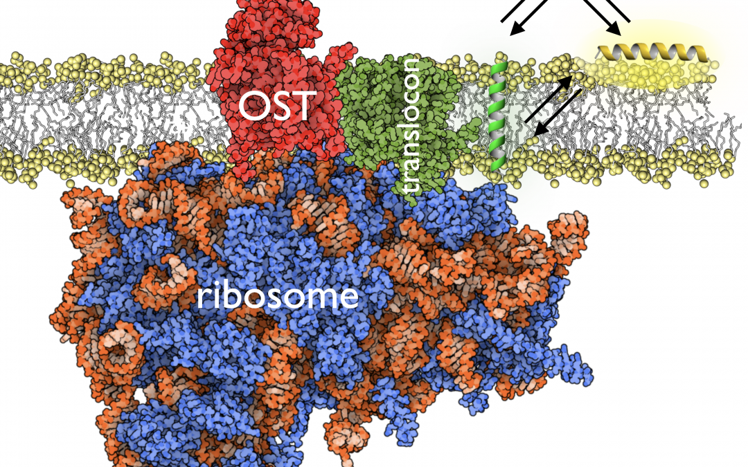 # Highlights Paper 2   Feb 2025
