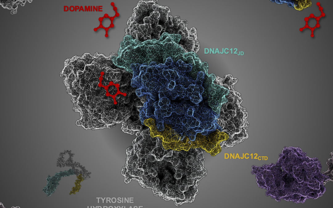 # Highlights Paper 1 March 2025