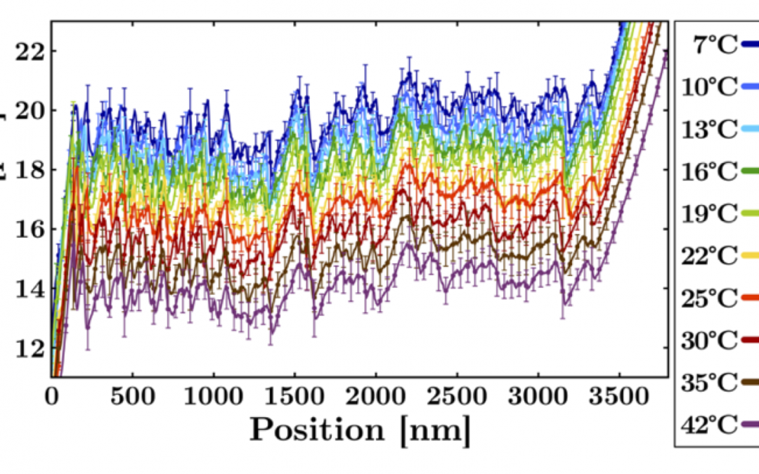 # Highlights Paper 2 March 2025