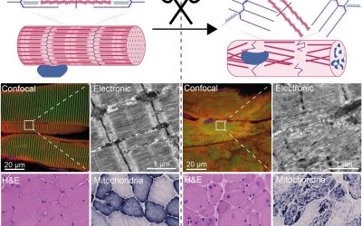 #Highlights Paper 2 May 2025