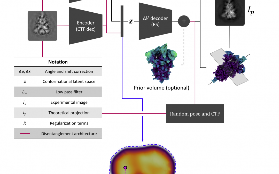# Highlights Paper 1 April 2025