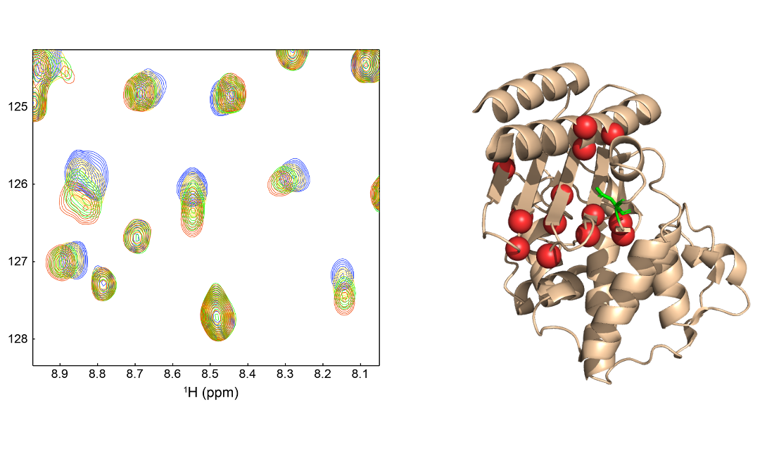 # Highlights Paper 1 May 2025