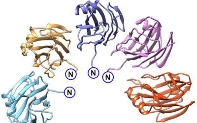 #Highlights Paper Sept 2025