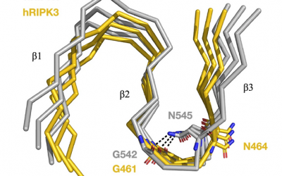 # Highlights Paper Oct 2025