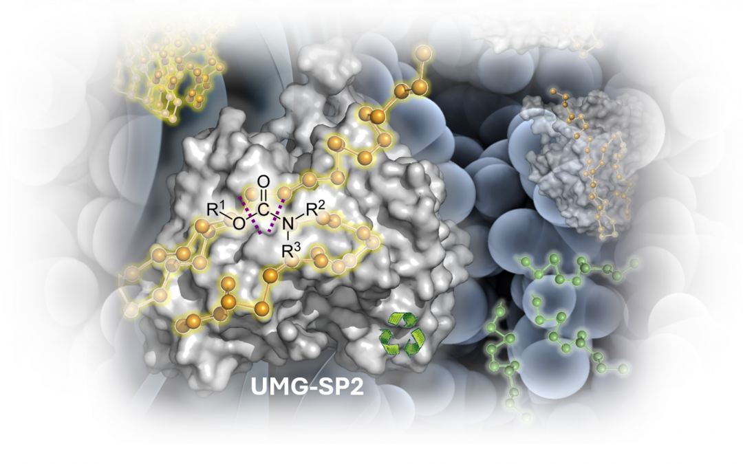 Highlights Paper Nov 2025