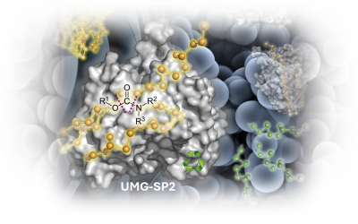 Highlights Paper Nov 2025