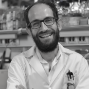 Jorge Alegre Cebollada