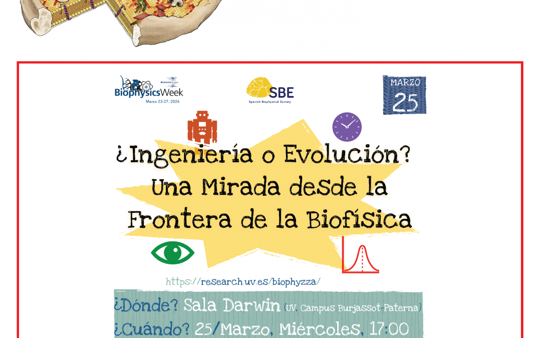 ¿Ingeniería o Evolución? Una Mirada desde la Frontera de la Biofísica
