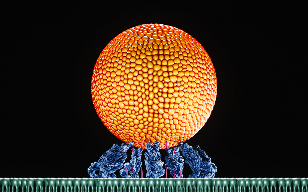 Highlights Paper Jan 2026