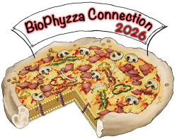 LA “BIOPHYSICS WEEK” Y LA “BIOPHYZZA CONNECTION” 2026