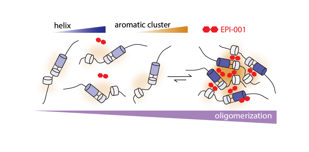 Highlights Paper Feb 2026