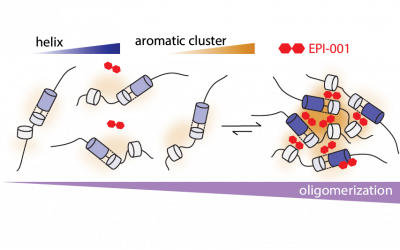 Highlights Paper Feb 2026