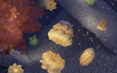 Highlights Paper Mar 2026