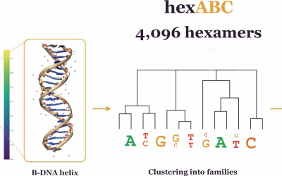Highlights Paper Jun 2026