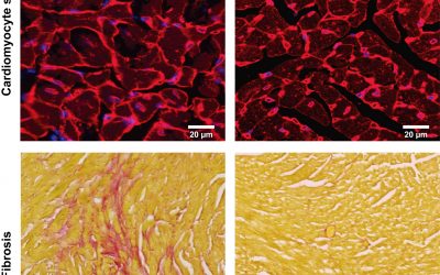 Highlights Paper Jul 2026
